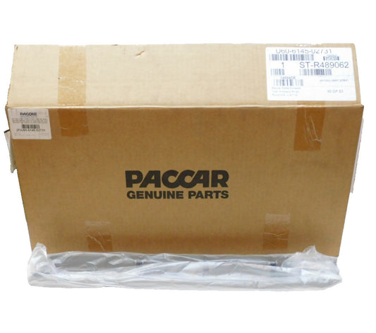 Paccar U60-6145-02731 Vert Strip 27 Grey Lwr Pb Vertical Trim