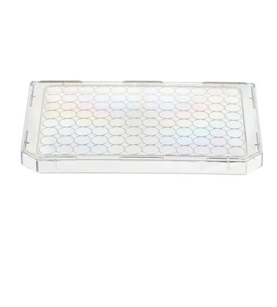Lot of 30 THERMO SCIENTIFIC 264122 Microplate Lids