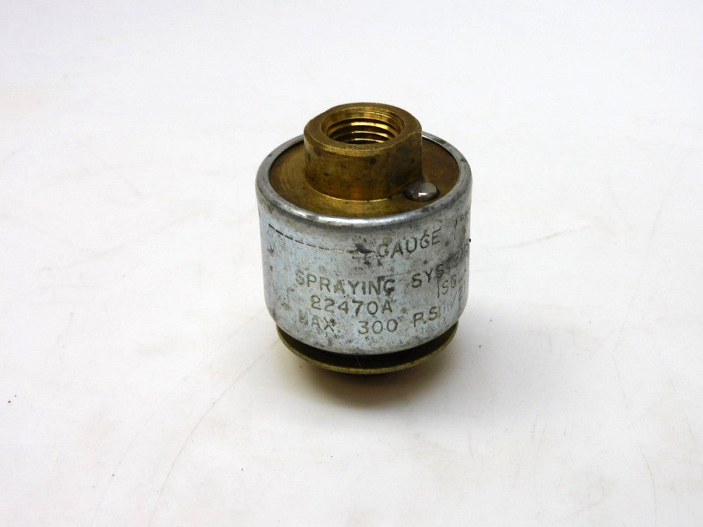 SPRAYING SYSTEMS 22470A ISOLATOR 300PSI 21BAR 1/4" NPT