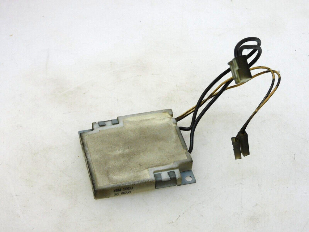 IWAKI 45M 30ΩJ RESISTOR 30 OHMS