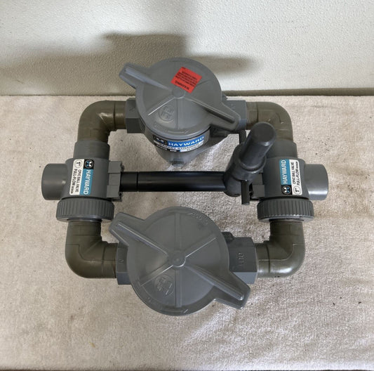 Hayward Basket Strainer CPVC 1/2” with 1" Ball Valves